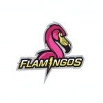 Flamingos