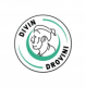 Divin Drovini