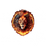 FC Lion