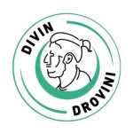 Divin Drovini