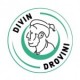 Divin Drovini