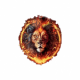 Fc Lion
